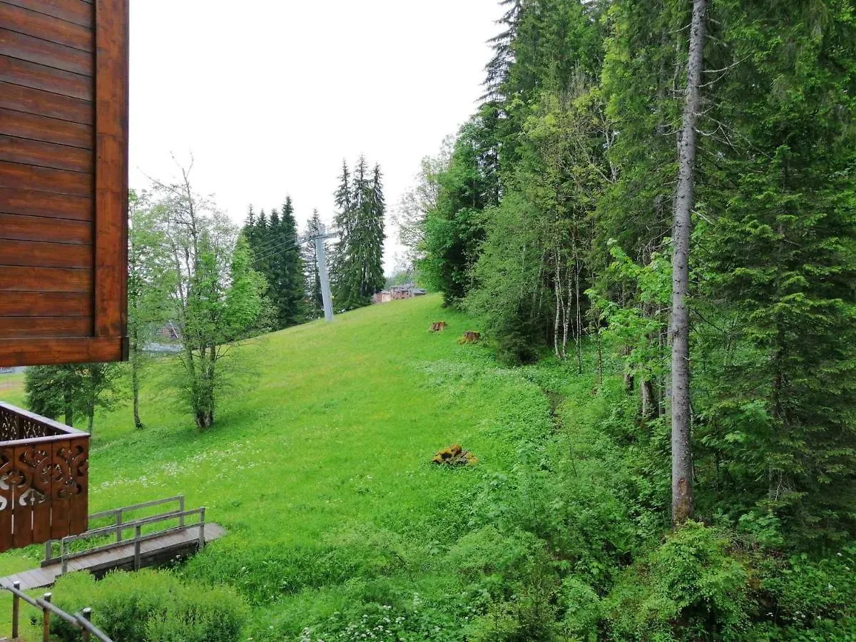 Morillon 1100: T3, 7 Pers, Animaux Admis, Parking, Wifi, 50M Des Pistes - Fr-1-412-15 Apartment 0*,  France